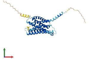 AlphaFold protein structure predicition of Mouse Recombinant Mrgprb5 Protein, UniprotID Q91ZB9 (MRGPRB5 Protein (AA 1-322) (His tag))