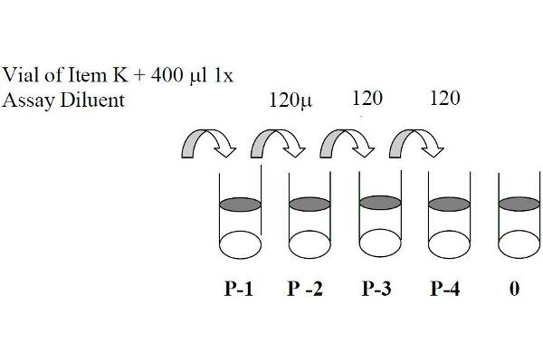 MAPK14 ELISA Kit