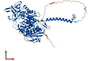 AlphaFold protein structure predicition of Mouse Recombinant Slc3a1 Protein, UniprotID Q91WV7 (SLC3A1 Protein (AA 1-685) (His tag))