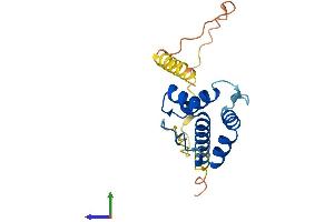 AlphaFold protein structure predicition of Mouse Recombinant Plac8l1 Protein, UniprotID Q08EJ0 (PLAC8-Like 1 Protein (PLAC8L1) (AA 1-177) (His tag))