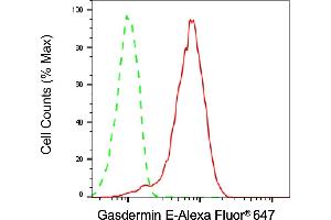 Flow cytometric analysis of Gasdermin E expression in HepG2 cells using Gasdermin E antibody (ABIN7799622), 1:2,000). (Recombinant Non-Syndromic Hearing Impairment Protein 5 (GSDME) antibody)