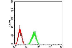 Flow cytometric analysis of HT1080 cells using MMP14 mouse mAb (green) and negative control (red). (MMP14 antibody  (AA 112-246))