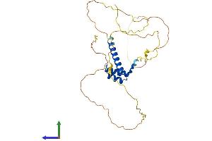 AlphaFold protein structure predicition of Human Recombinant OTX2 Protein, UniprotID P32243 (OTX2 Protein (AA 1-289) (His tag))
