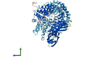 AlphaFold protein structure predicition of Mouse Recombinant Copg2 Protein, UniprotID Q9QXK3 (COPG2 Protein (AA 1-871) (His tag))