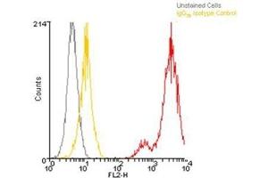 Flow cytometry analysis, intracellular stained, of 106 Jurkat cells using LRRC32, mAb (Plato-1) (PE conjugate) at a concentration of 10μg/ml. (LRRC32 antibody  (AA 20-627) (PE))