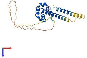 Sterile alpha Motif Domain Containing 12 (SAMD12) (AA 1-201) protein (His tag)