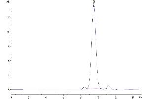 Size-exclusion chromatography-High Pressure Liquid Chromatography (SEC-HPLC) image for Tumor Necrosis Factor Receptor Superfamily, Member 10b (TNFRSF10B) (AA 53-180) protein (His tag) (ABIN7275784)