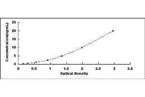 Typical standard curve (ITK ELISA Kit)