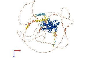 Cyclin T1 Protein (CCNT1) (AA 1-726) (His tag)