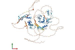 AlphaFold protein structure predicition of Human Recombinant ZNF366 Protein, UniprotID Q8N895