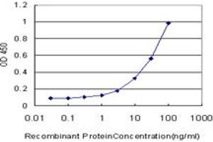 Detection limit for recombinant GST tagged VRK2 is approximately 1ng/ml as a capture antibody. (VRK2 antibody  (AA 260-360))