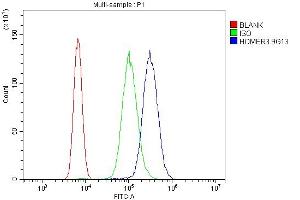 Flow Cytometry analysis of U937 cells using anti-HOMER3 antibody (ABIN7601092). (HOMER3 antibody  (AA 282-360))