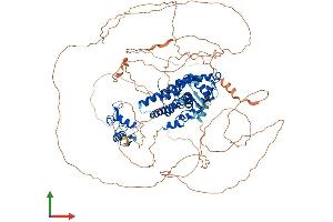 AlphaFold protein structure predicition of Human Recombinant PGR Protein, UniprotID P06401 (Progesterone Receptor Protein (PGR) (AA 1-933) (His tag))