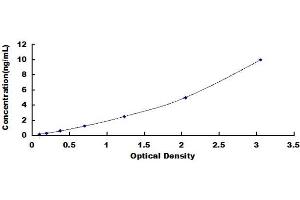 Typical standard curve (Cytokeratin 1 ELISA Kit)