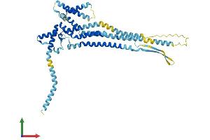 AlphaFold protein structure predicition of Human Recombinant DCSTAMP Protein, UniprotID Q9H295 (Transmembrane 7 Superfamily Member 4 (TM7SF4) (AA 1-470) protein (His tag))