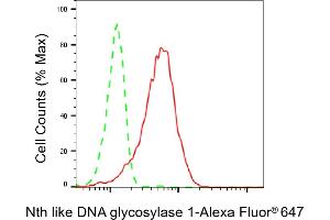 Flow cytometric analysis of Nth like DNA glycosylase 1 expression in HepG2 cells using Nth like DNA glycosylase 1 antibody (ABIN7799628), 1:2,000). (Recombinant Nth Endonuclease III-Like 1 (NTHL1) antibody)