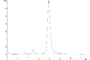 The purity of Biotinylated SARS RBD is greater than 95 % as determined by SEC-HPLC. (SARS-CoV Spike Protein (RBD) (His-Avi Tag,Biotin))