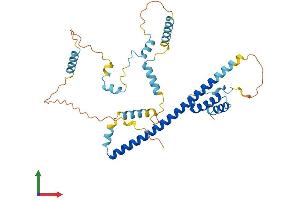 AlphaFold protein structure predicition of Mouse Recombinant Fez2 Protein, UniprotID Q6TYB5