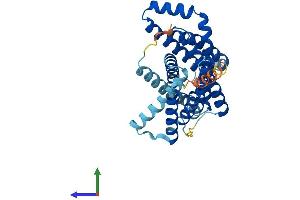 AlphaFold protein structure predicition of Human Recombinant SLC35A1 Protein, UniprotID P78382