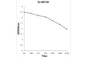 Antigen: 0. (CBL antibody  (pTyr674))