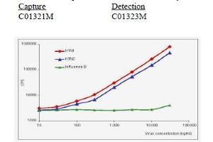 Calibration curve for Influenza A NP immunodetection in sandwich fluoroimmunoassay. (Influenza Nucleoprotein antibody (Influenza A Virus H1N1))