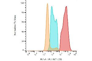 Flow cytometry detection of CD154 / CD40L in IgE-activated human peripheral blood with anti-CD154 / CD40L (24-31) FITC. (CD40 Ligand antibody  (FITC))