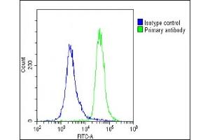Overlay histogram showing U-2 OS cells stained with (ABIN654335 and ABIN2844108)(green line). (METTL4 antibody  (C-Term))