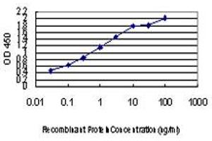 Detection limit for recombinant GST tagged LLGL2 is approximately 0. (LLGL2 antibody  (AA 101-199))