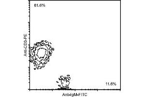 Flow Cytometry (FACS) image for Mouse anti-Chicken IgM antibody (FITC) (ABIN371378) (Mouse anti-Chicken IgM Antibody (FITC))