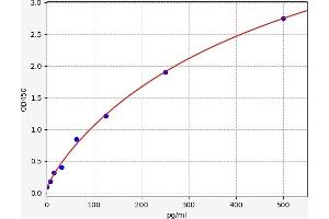 CA1 ELISA Kit