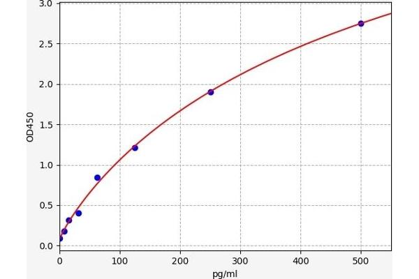 CA1 ELISA Kit