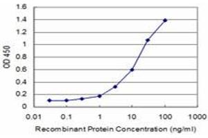 Detection limit for recombinant GST tagged GEMIN6 is approximately 0. (GEMIN6 antibody  (AA 1-167))