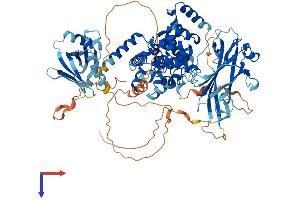 AlphaFold protein structure predicition of Human Recombinant RABGAP1L Protein, UniprotID Q5R372