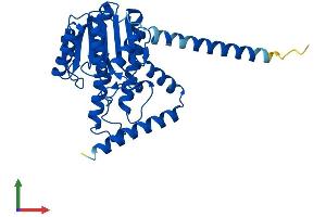 AlphaFold protein structure predicition of Mouse Recombinant Hsd17b12 Protein, UniprotID O70503 (HSD17B12 Protein (AA 1-312) (His tag))