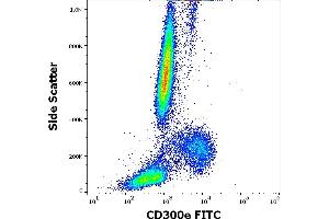Flow cytometry surface staining pattern of human peripheral whole blood stained using anti-human CD300e (UP-H2) FITC antibody (4 μL reagent / 100 μL of peripheral whole blood). (CD300E antibody  (FITC))