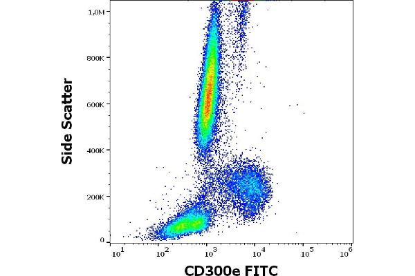 CD300E anticorps  (FITC)