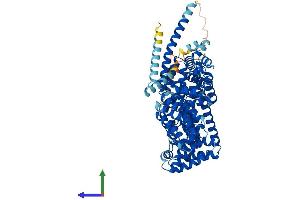 Protein Structure (PS) image for Tetratricopeptide Repeat Domain 12 (TTC12) (AA 1-705) protein (His tag) (ABIN7544757)