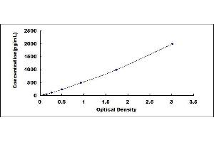 Typical standard curve (CD147 ELISA Kit)