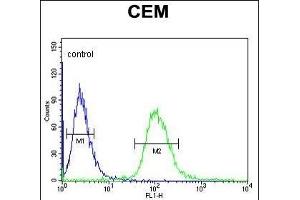 UTY Antibody (C-term) (ABIN653016 and ABIN2842639) flow cytometric analysis of CEM cells (right histogram) compared to a negative control cell (left histogram).