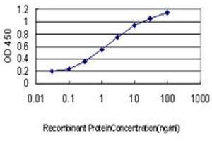 Detection limit for recombinant GST tagged EPOR is approximately 0. (EPOR antibody  (AA 31-130))