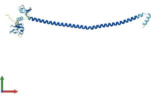 Protein Structure (PS) image for Tripartite Motif Containing 74 (TRIM74) (AA 1-250) protein (His tag) (ABIN7544774)
