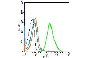 Mouse splenocytes probed with TLR1 Polyclonal Antibody, Unconjugated  at 1:100 for 30 minutes followed by incubation with a conjugated secondary (PE Conjugated) (green) for 30 minutes compared to control cells (blue), secondary only (light blue) and isotype control (orange). (TLR1 antibody  (AA 101-200))