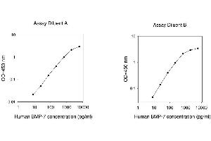 ELISA image for Bone Morphogenetic Protein 7 (BMP7) ELISA Kit (ABIN1979601) (BMP7 ELISA Kit)