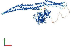 Protein Structure (PS) image for Feline Sarcoma Oncogene (FES) (AA 1-822) protein (His tag) (ABIN7553929)
