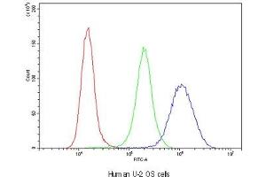 Flow cytometry testing of human U-2 OS cells with Glutathione Reductase antibody at 1ug/10^6 cells (blocked with goat sera) (Glutathione Reductase antibody)