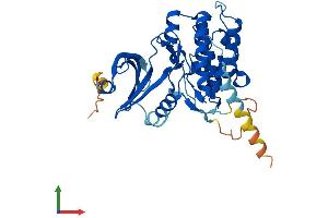 Protein Structure (PS) image for Testis Specific Serine Kinase 4 (TSSK4) (AA 1-328) protein (His tag) (ABIN7544756)