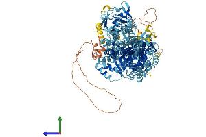 AlphaFold protein structure predicition of Mouse Recombinant Atp9b Protein, UniprotID P98195 (ATP9B Protein (AA 1-1146) (His tag))