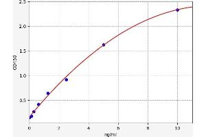 Typical standard curve (TNFSF8 ELISA Kit)