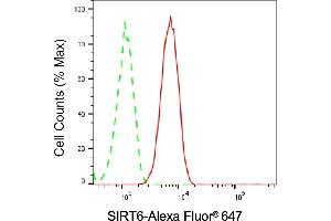 Flow cytometric analysis of SIRT6 expression in HT- cells using SIRT6 antibody (ABIN7800356), 1:2,000). (Recombinant SIRT6 antibody)