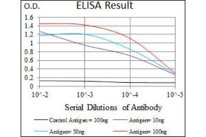ELISA image for anti-ATP-Binding Cassette, Sub-Family G (WHITE), Member 5 (ABCG5) (AA 306-367) antibody (ABIN1845665) (ABCG5 antibody  (AA 306-367))